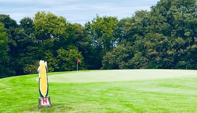 view of golf course with red flag