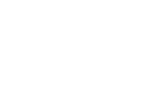 Valley View Logo